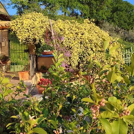 Le Rose * Spoleto