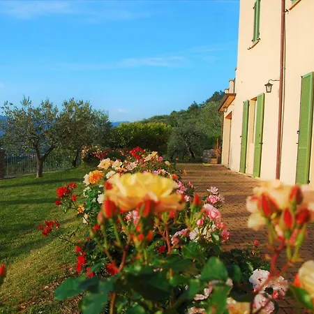 Le Rose