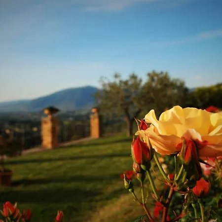 Apartment Le Rose