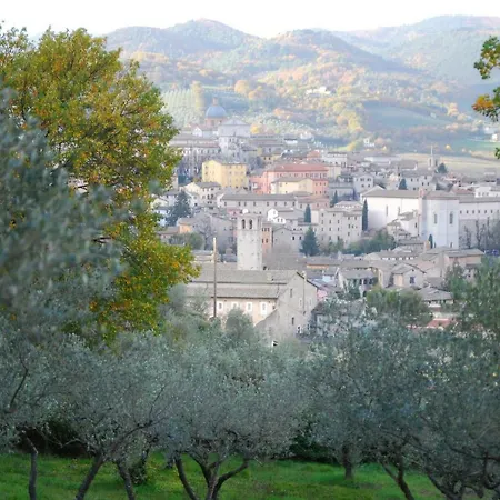 Le Rose Appartamento